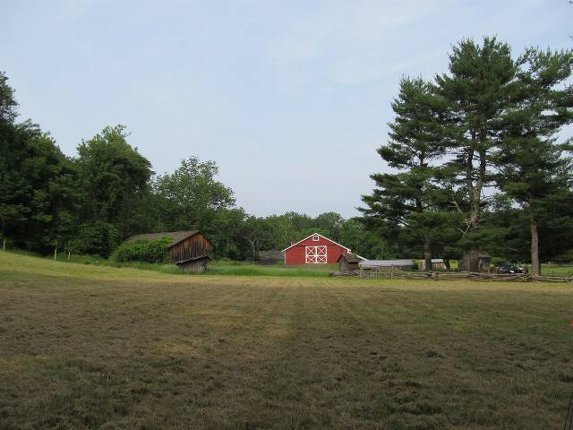 Another nice view of the camping field... now near the farm.  You couldn't really use the Pine Grove very well anymore.  